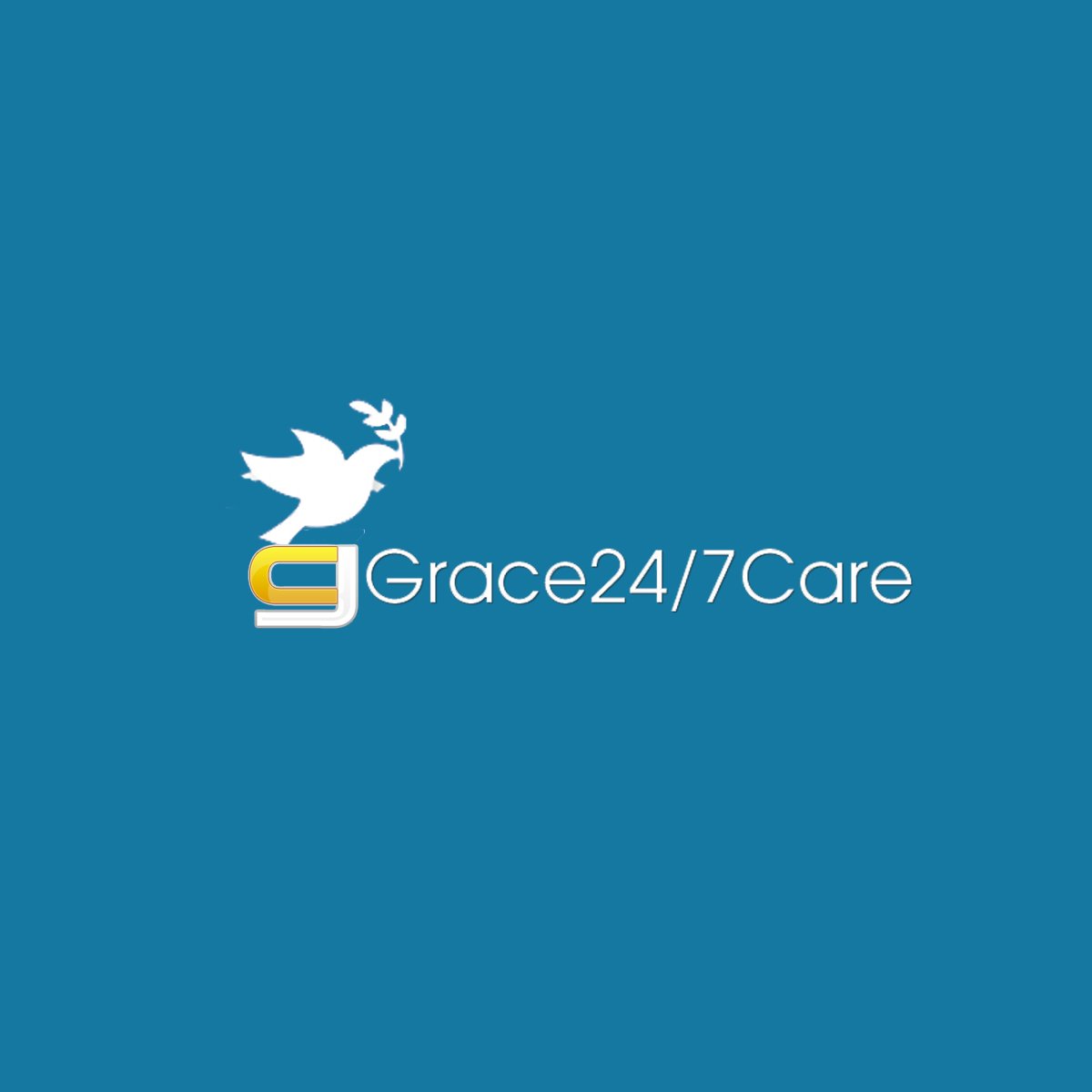 Grace247_Hubspot_Logo